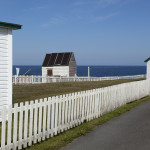 NFLD 2012 (0996)