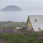 NFLD 2012 (1090)