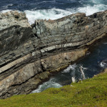 NFLD 2012 (1446)