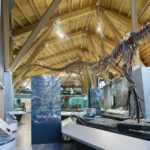 PJC_Dinosaur_Museum_(008)