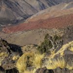 Atlas_mountains_(0151)